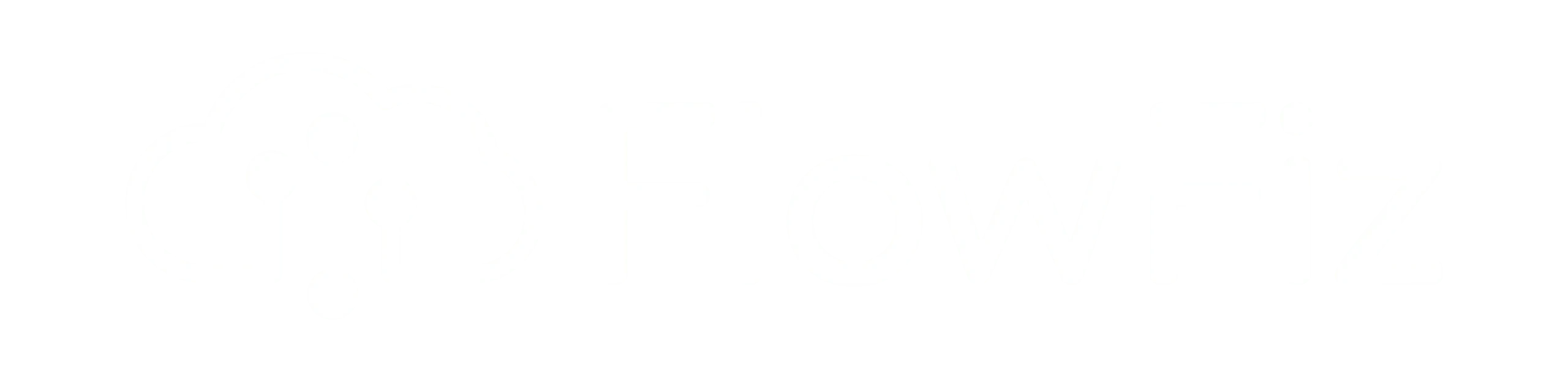 FlowFiz-Logo-White-scaled-1.webp