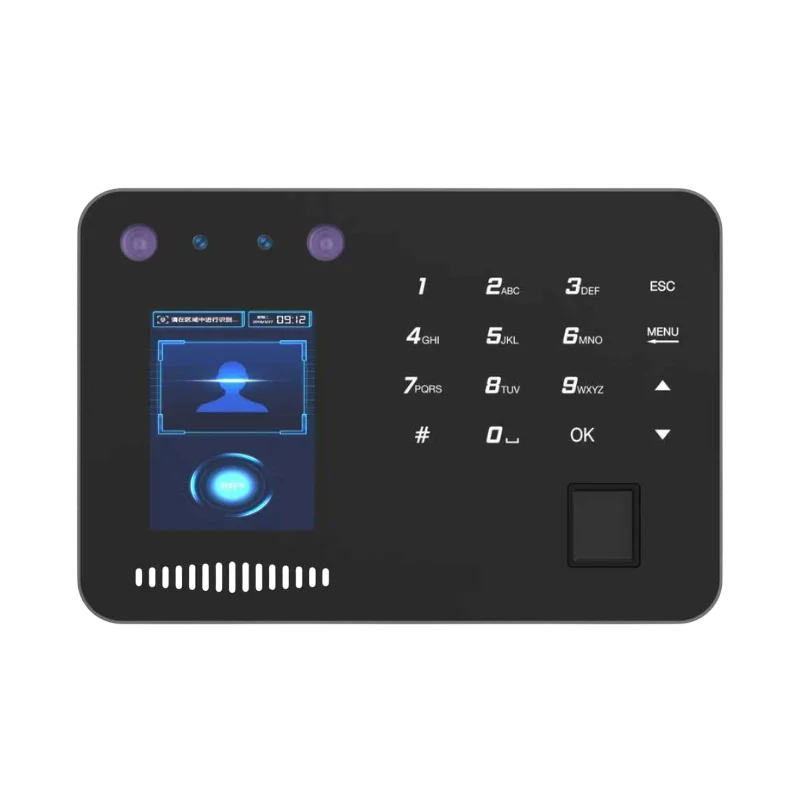 AI FIZ 10